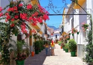 Estepona Old Town - Bougainvillea